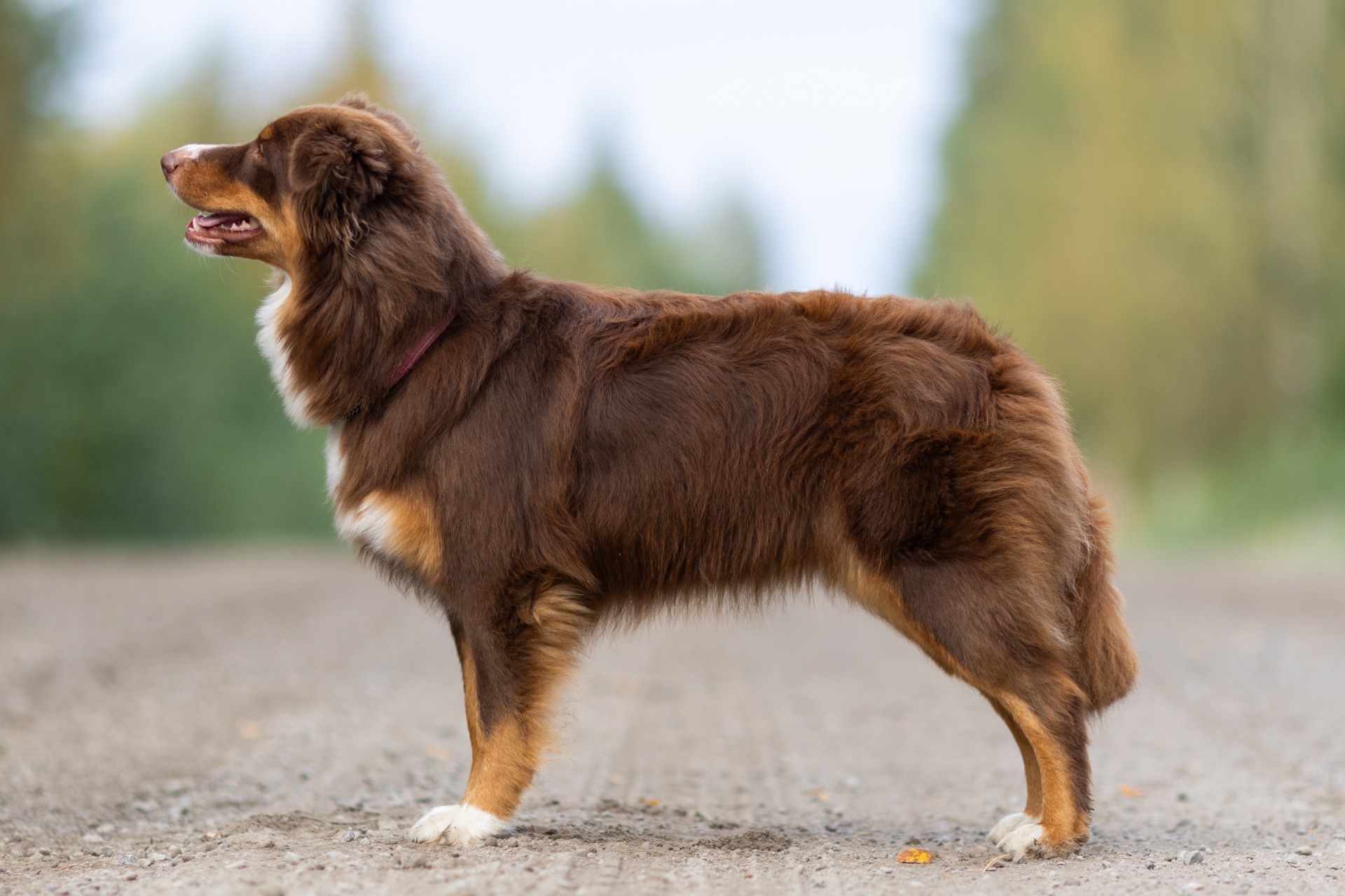 Kuva M. Juselius 2023