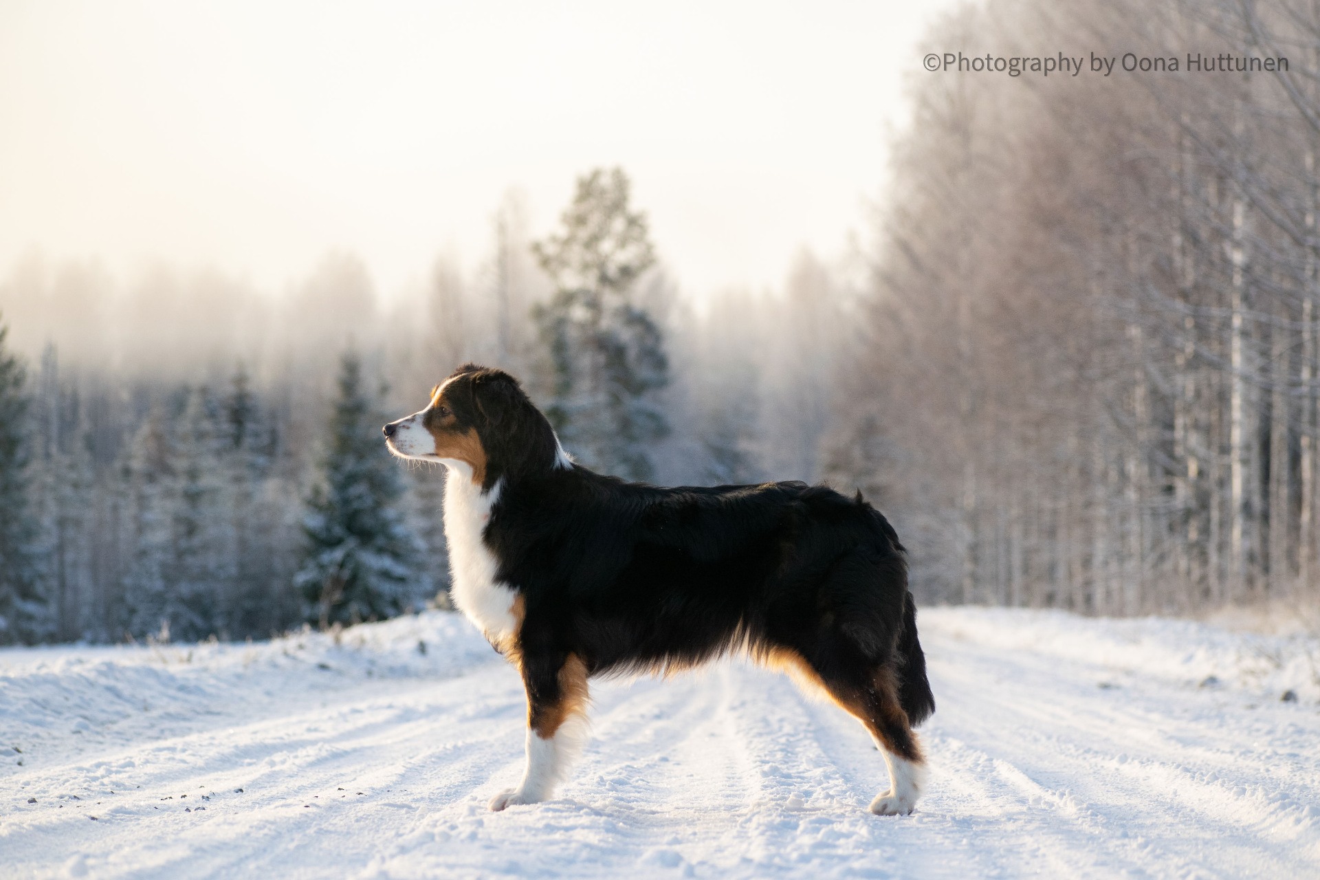 Kuva O. Huttunen 2021