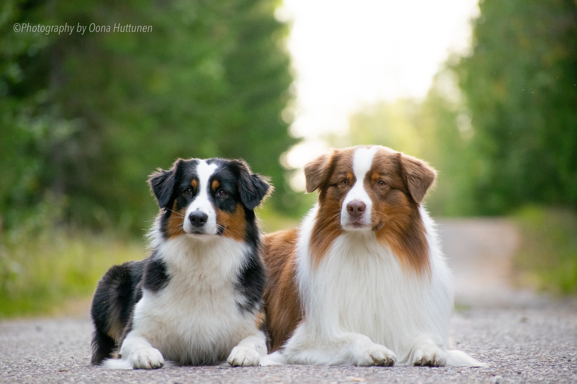 Kuva O. Huttunen 2021