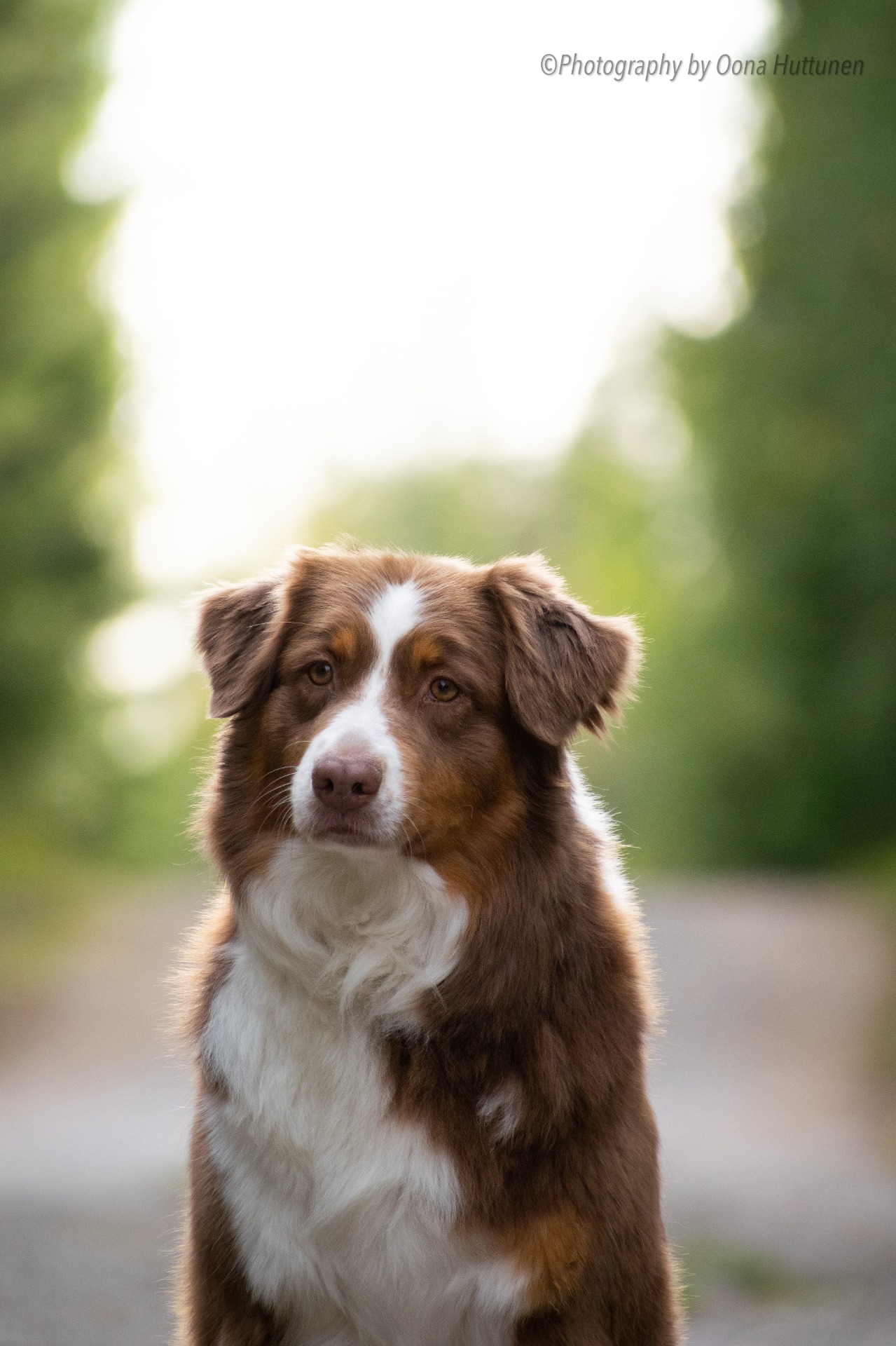 Kuva O. Huttunen 2021