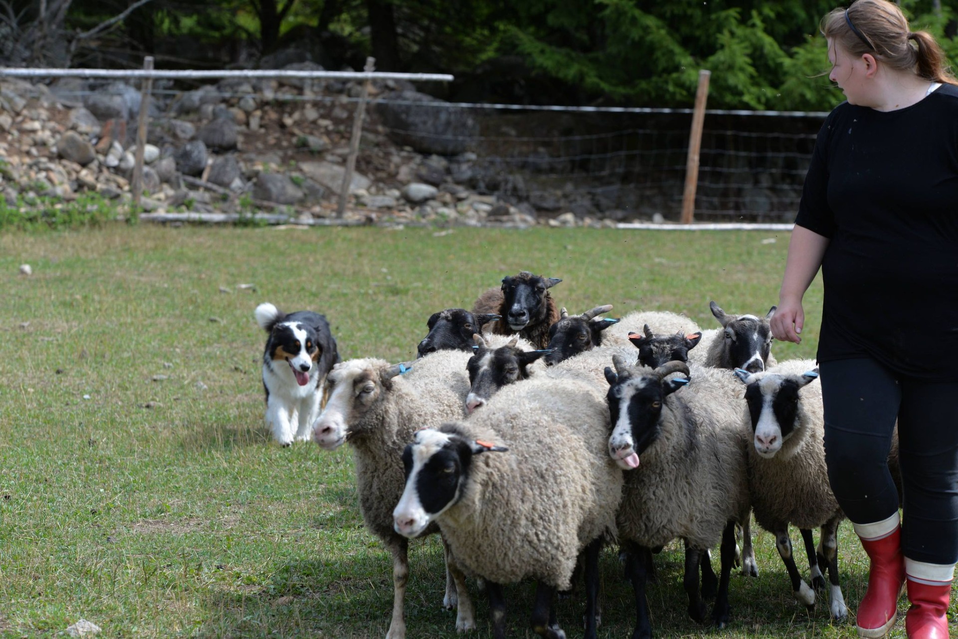 Kuva M. Putkonen 2020