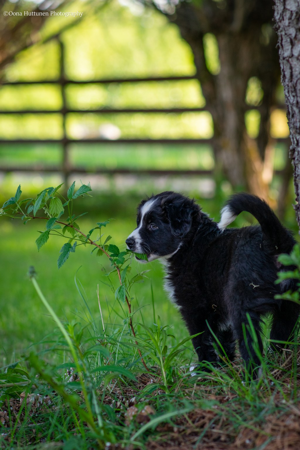 Wimma, kuva O. Huttunen 2022