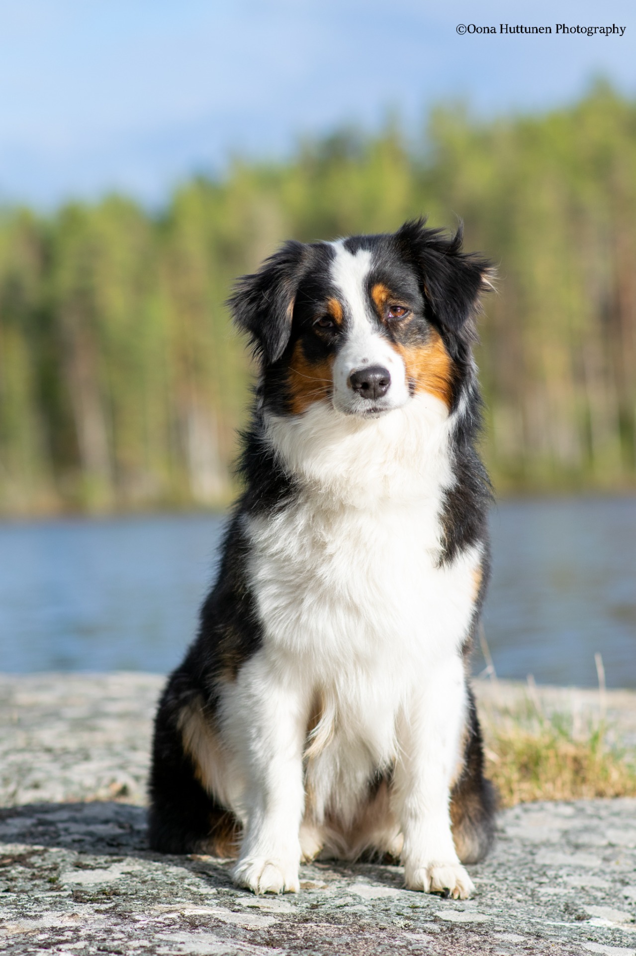 Kuva O. Huttunen 2022