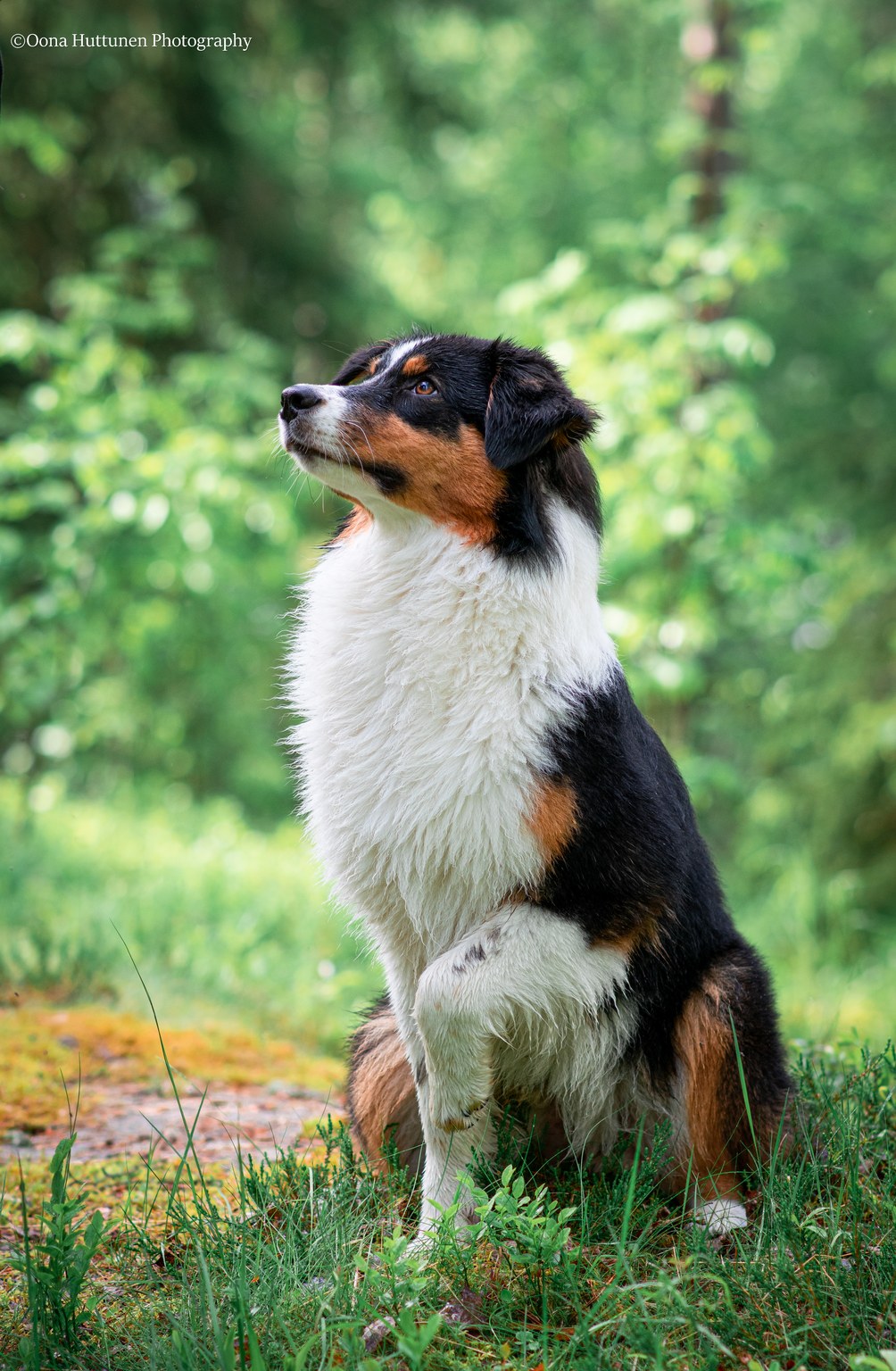 Kuva O. Huttunen 2022