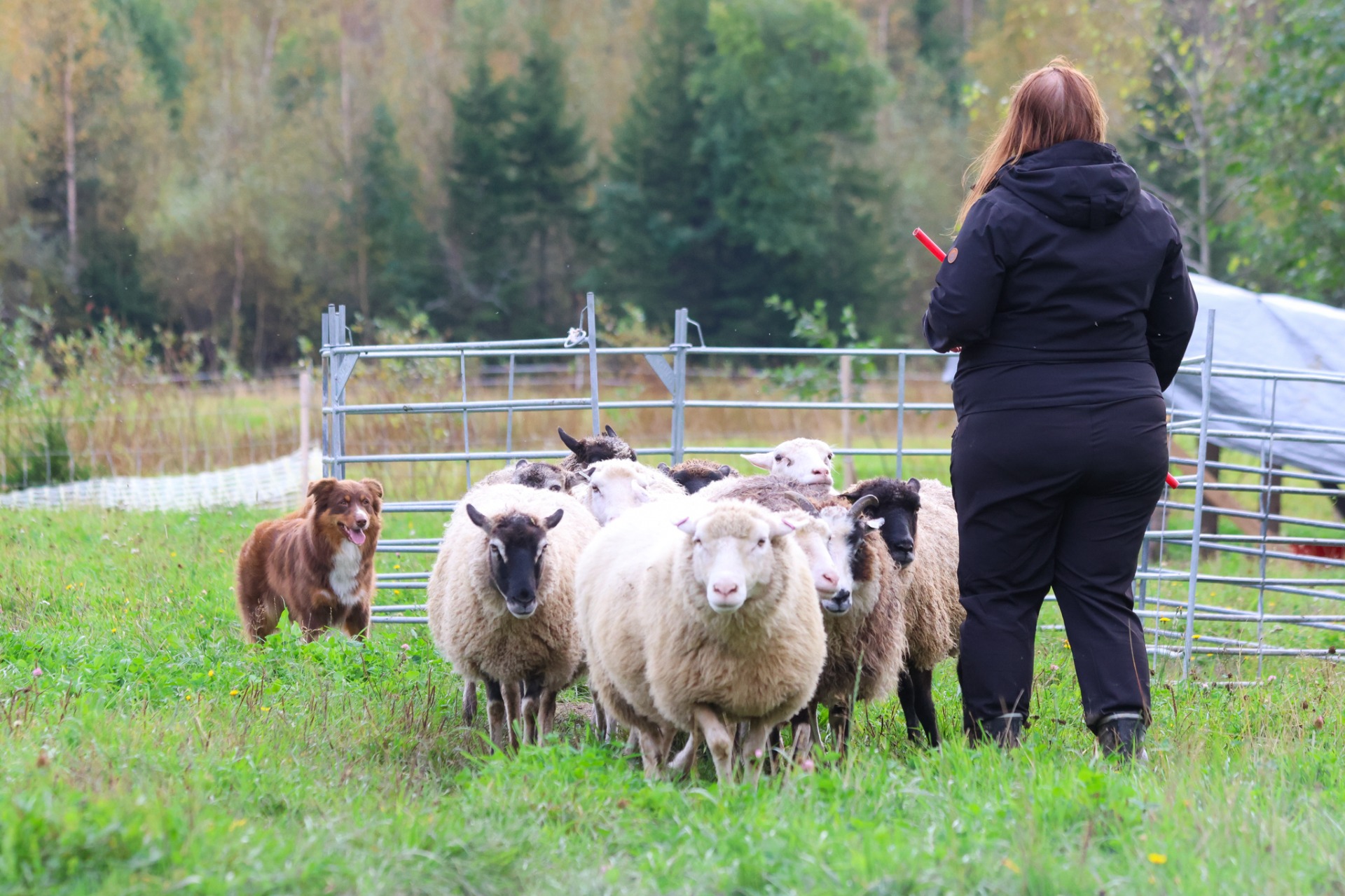 Kuva M. Juselius 2023