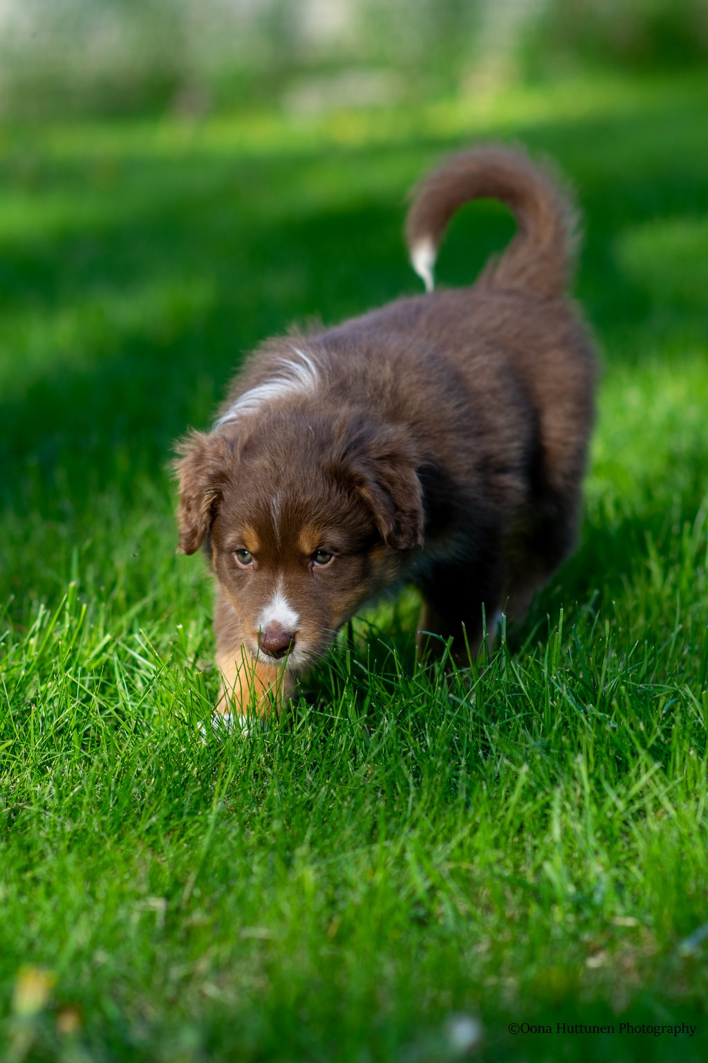 Kuva O. Huttunen 2022