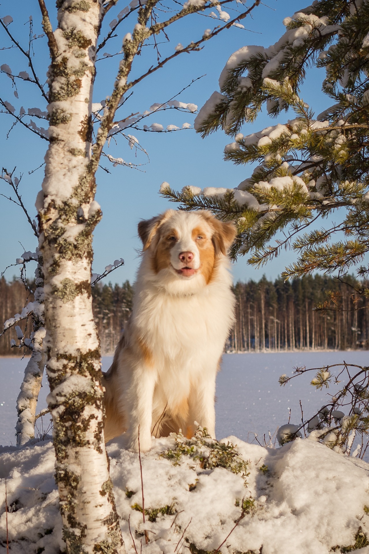 Kuva T. Koivisto 2023