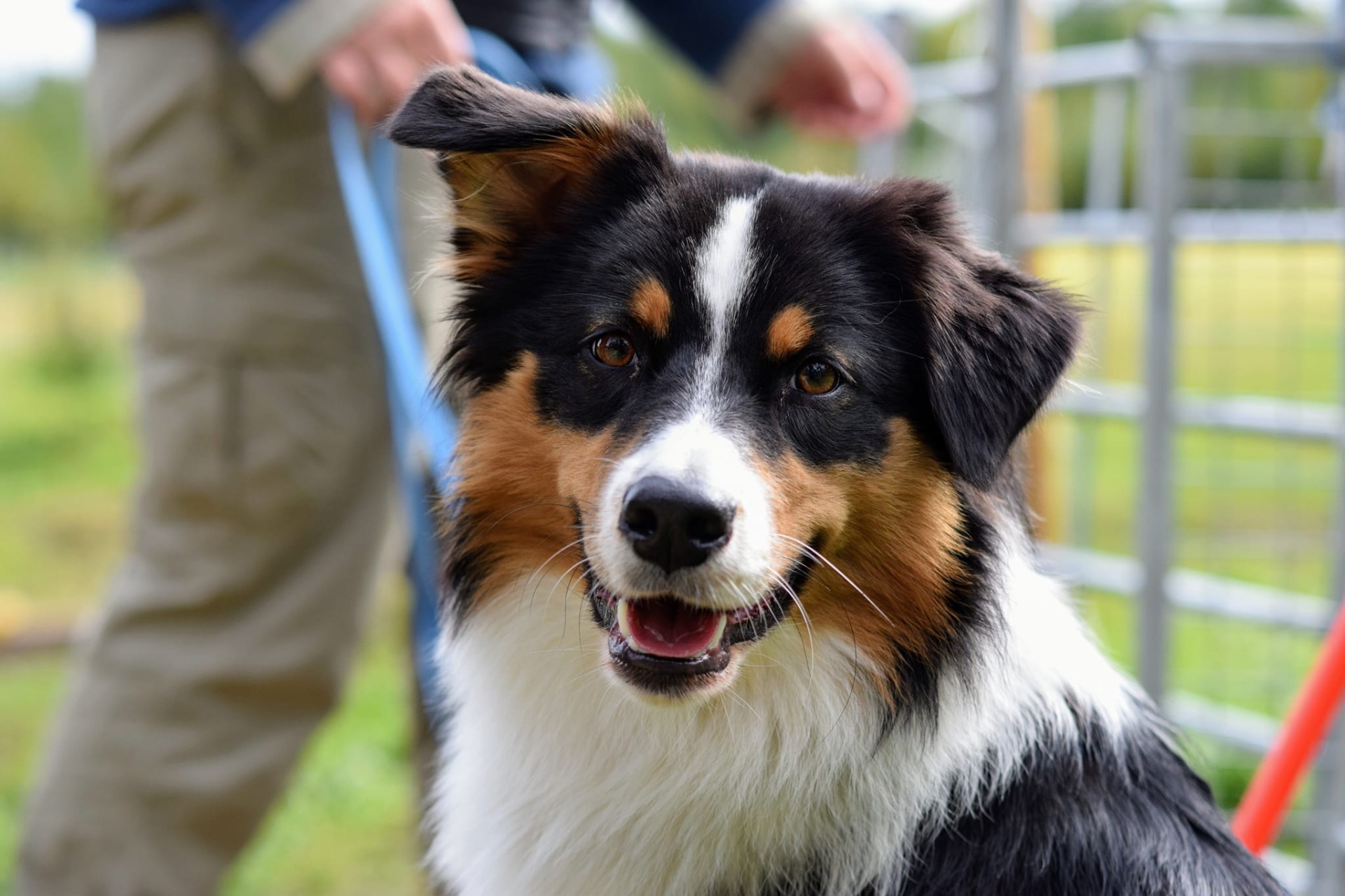 Kuva A. Kormano 2022