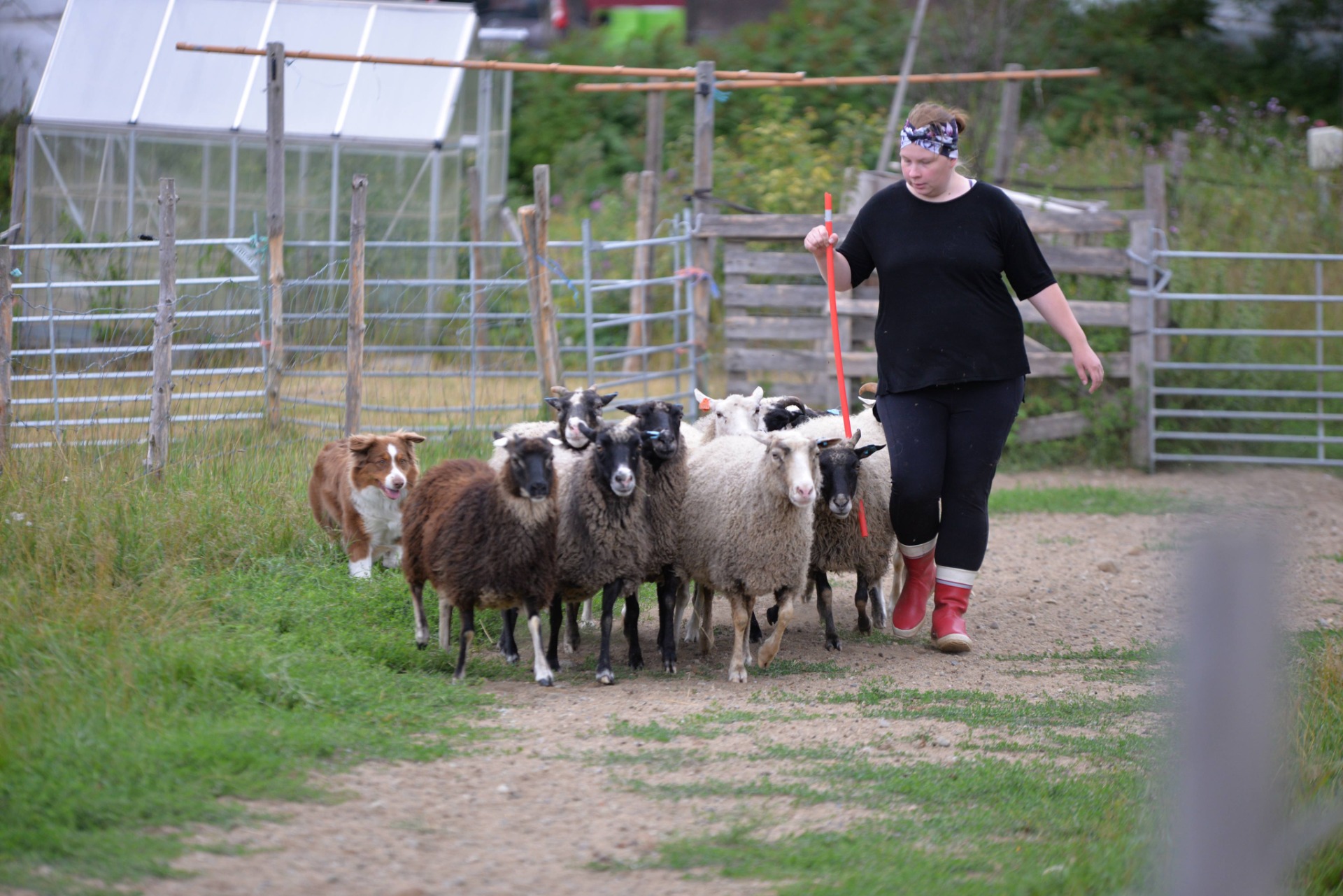 Kuva M. Putkonen 2020