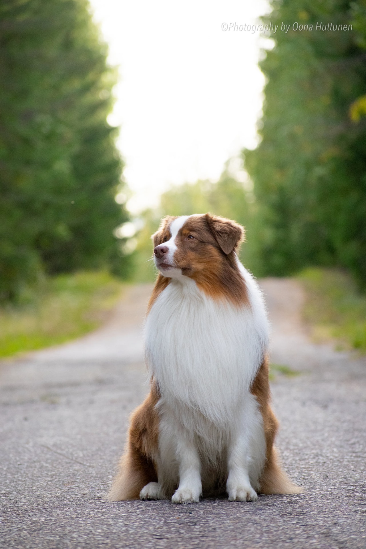 Kuva O. Huttunen 2021