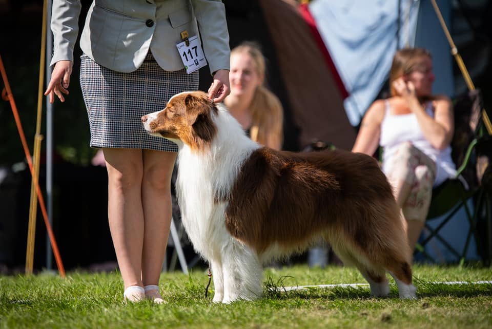 Kuva L. Toivonen 2020