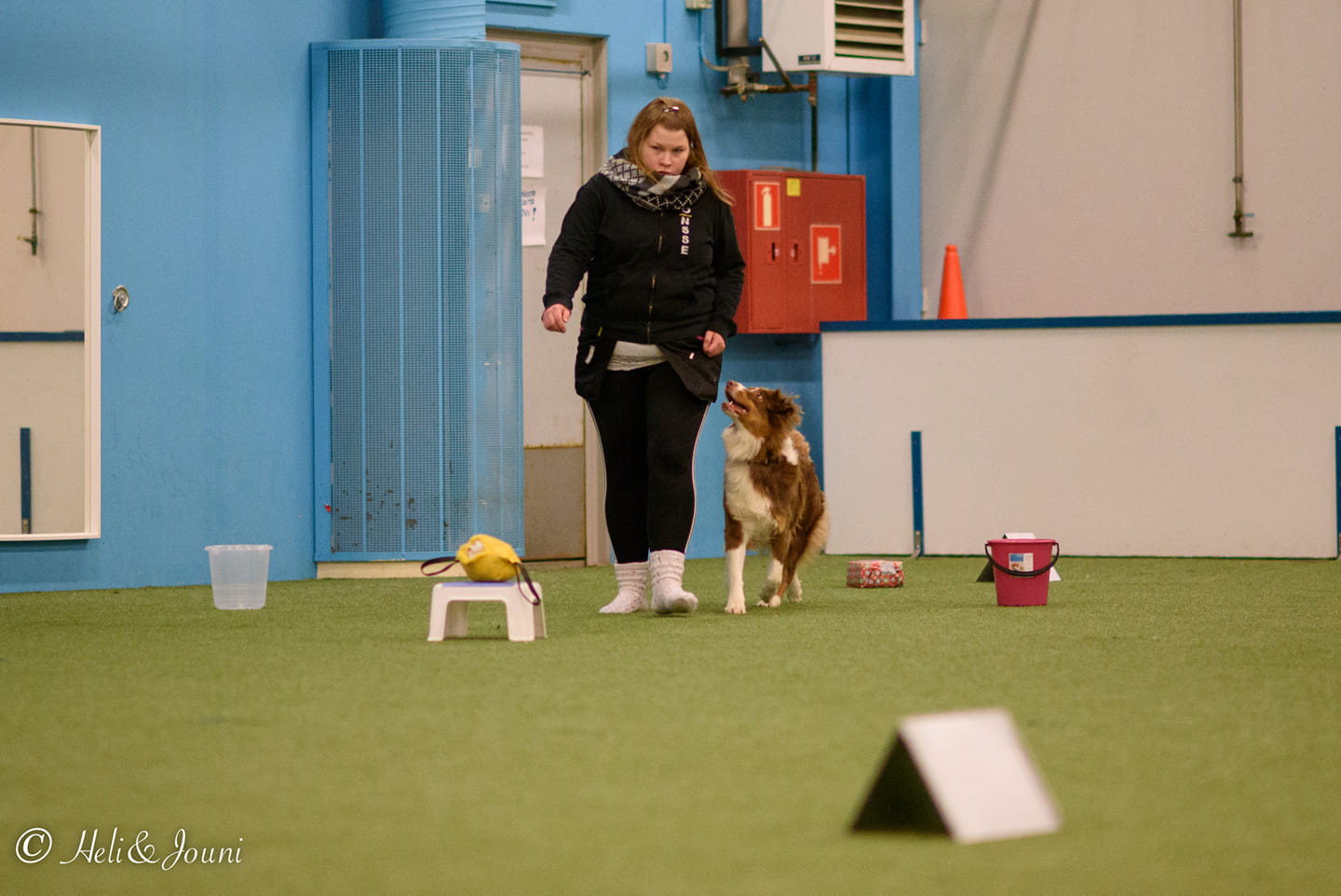 Venni, kuva H. Tuominen 2018