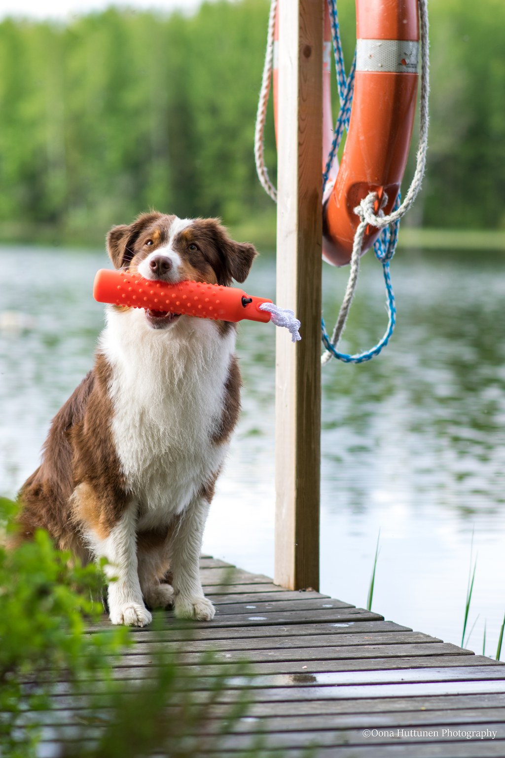 Kuva O. Huttunen 2022