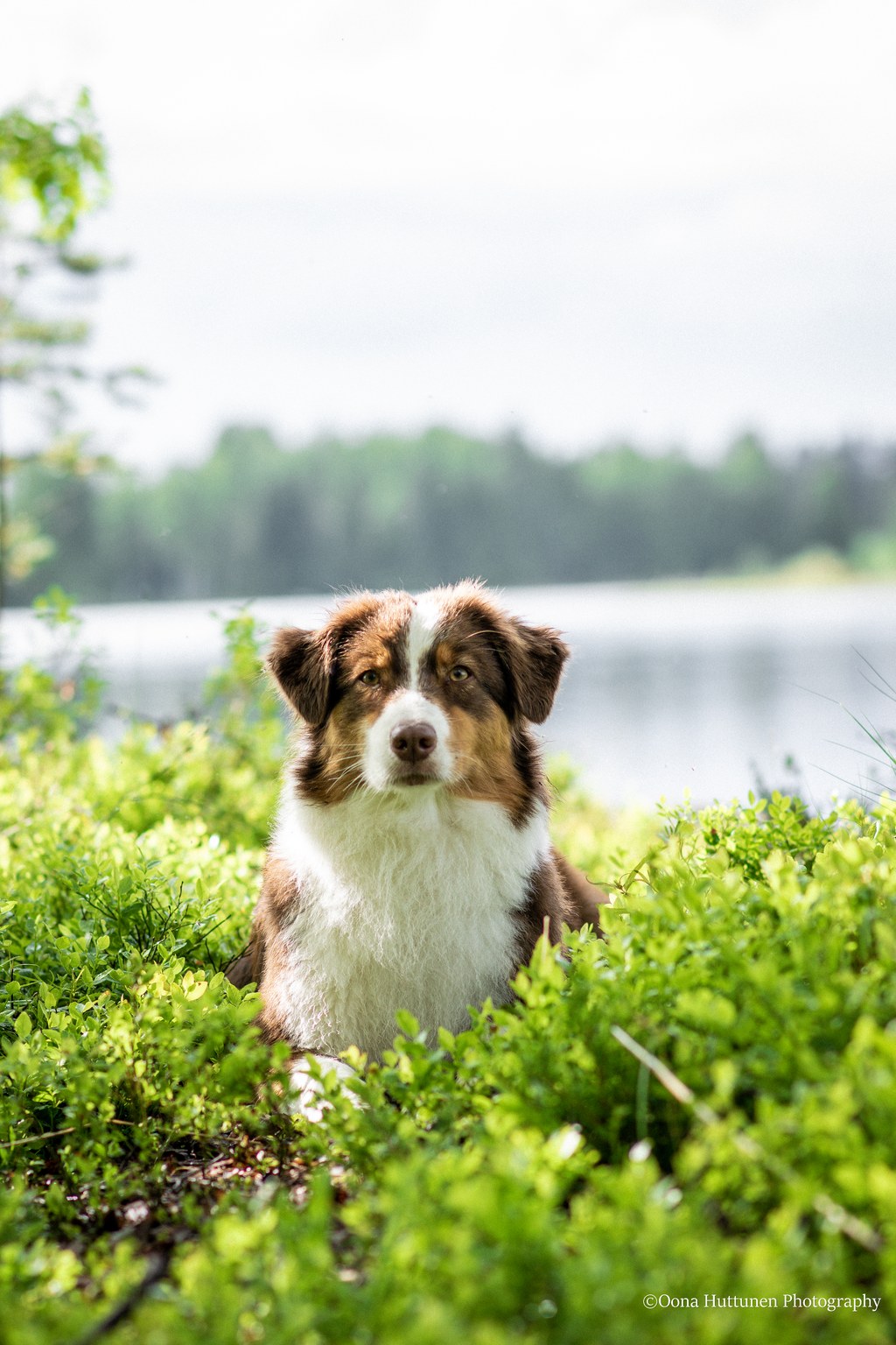 Kuva O. Huttunen 2022