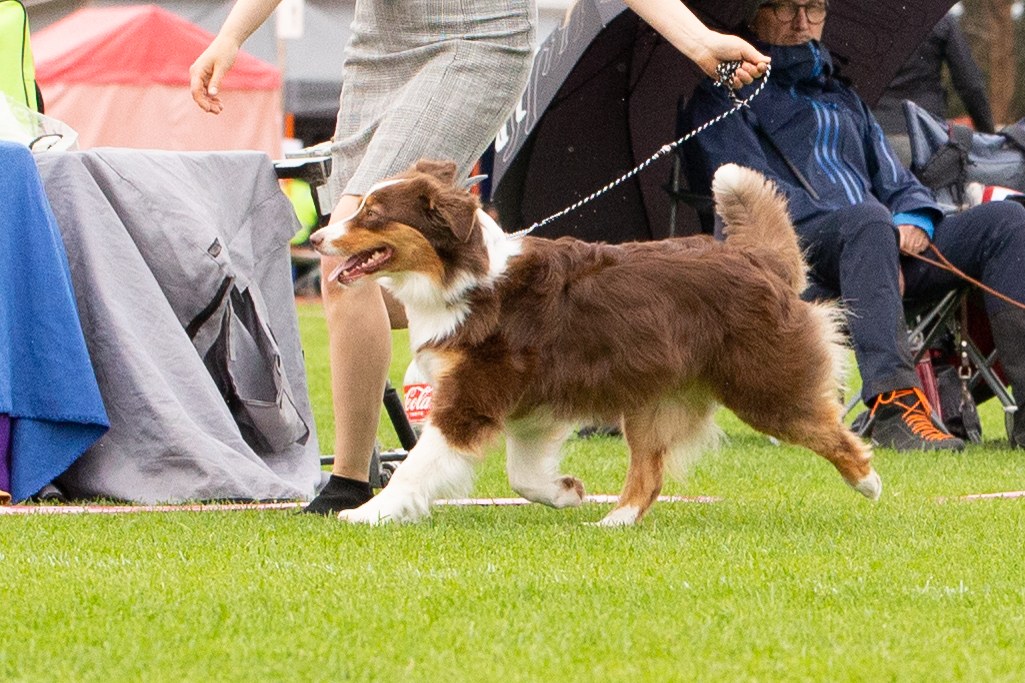 Kuva S. Anttonen 2022