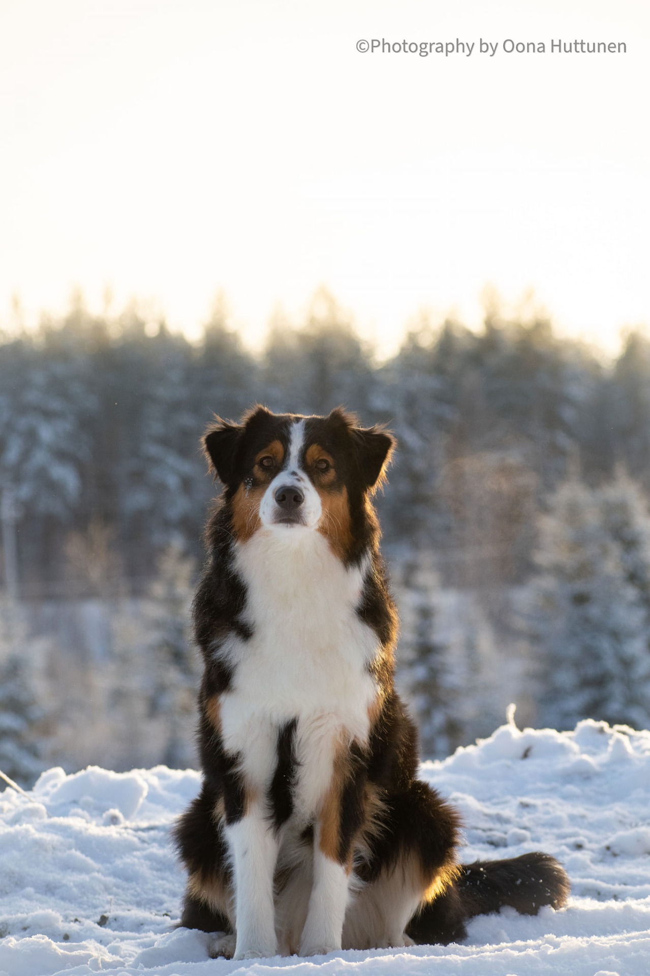 Kuva O. Huttunen 2021