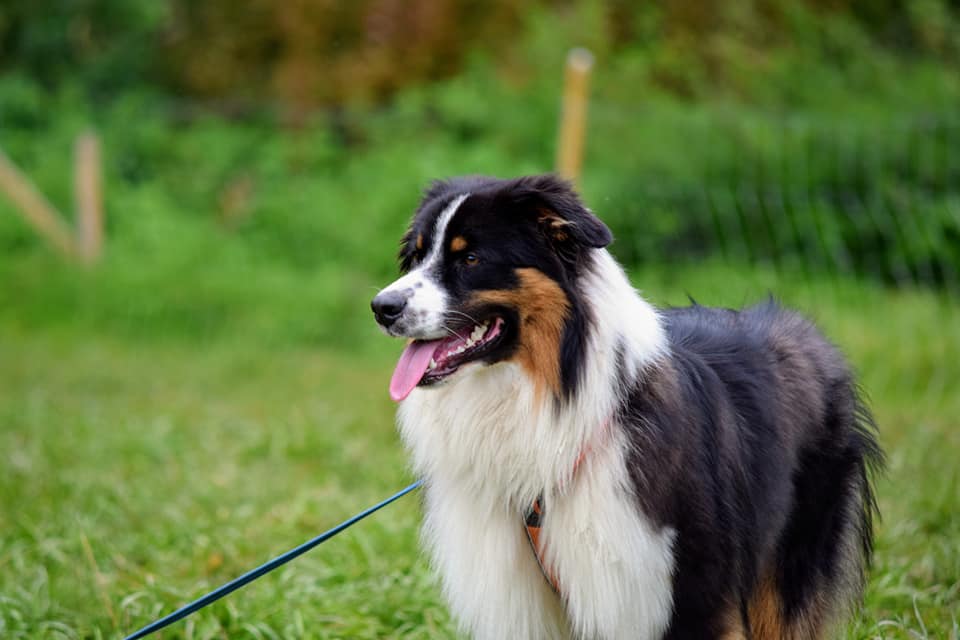 Kuva A. Kormano 2022