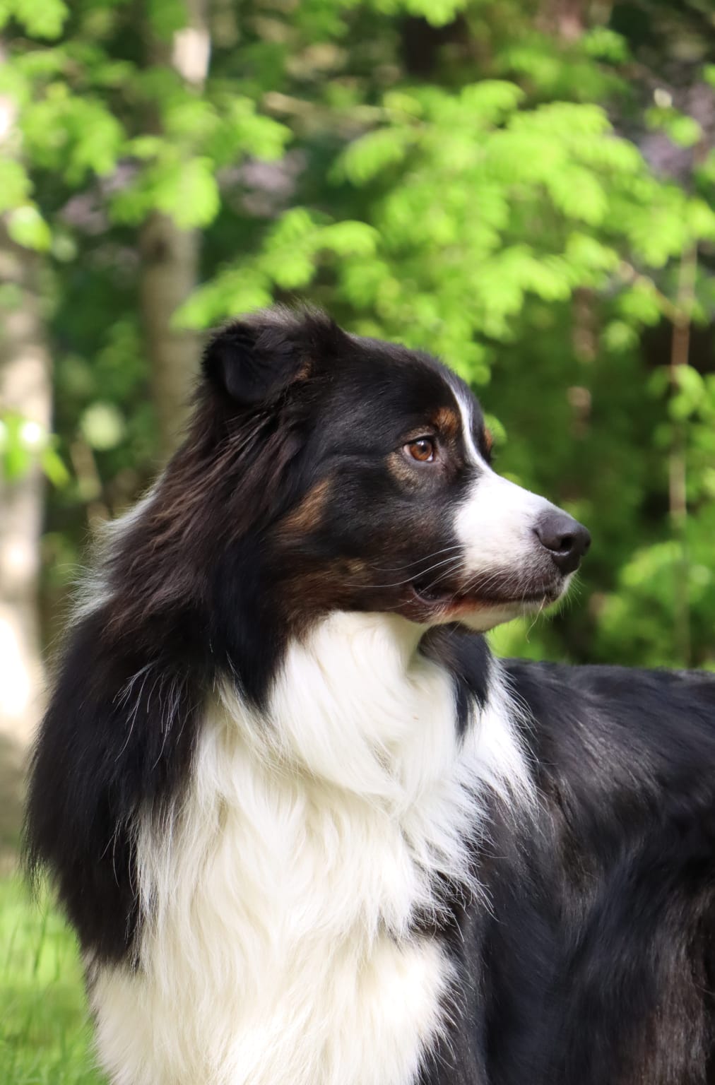 Kuva E. Tenhunen 2022