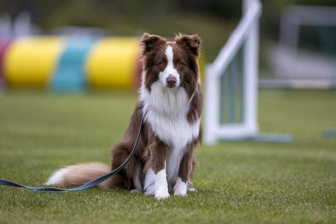 Kuva K. Tenhunen 2023