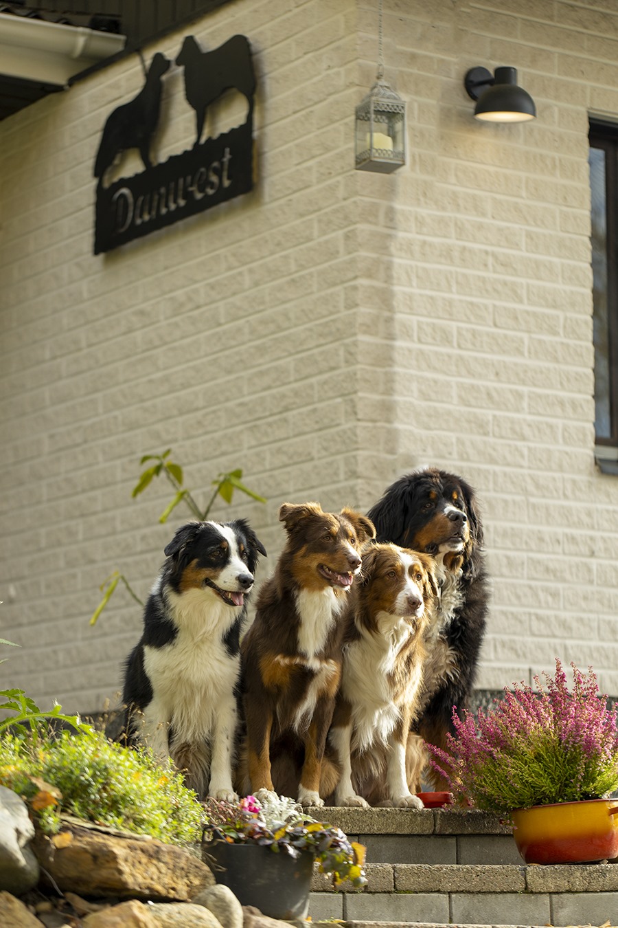 Ella, Fanni, Venni & Väinö, kuva A. Alanen 2024
