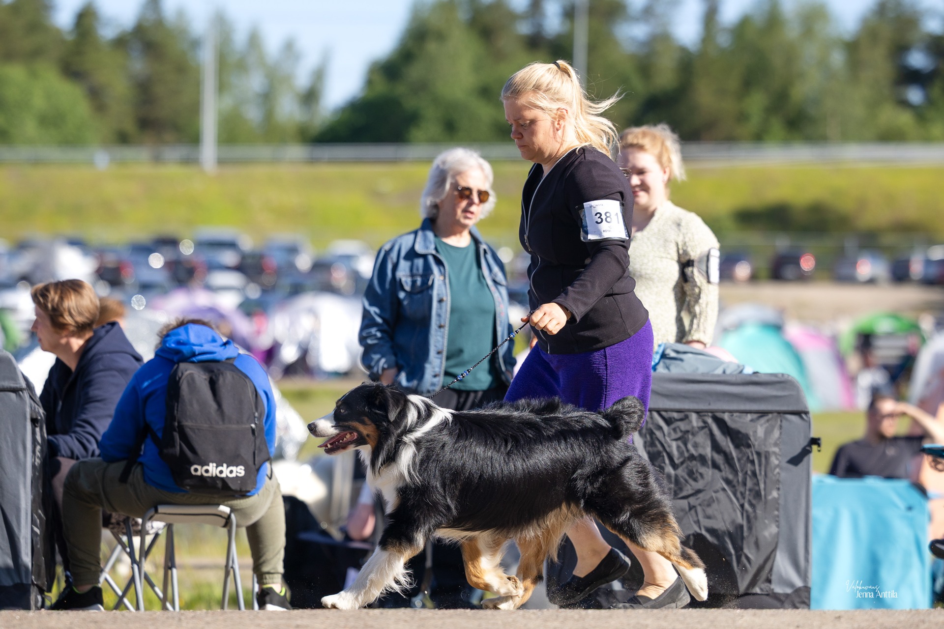 Kuva J. Anttila 2025